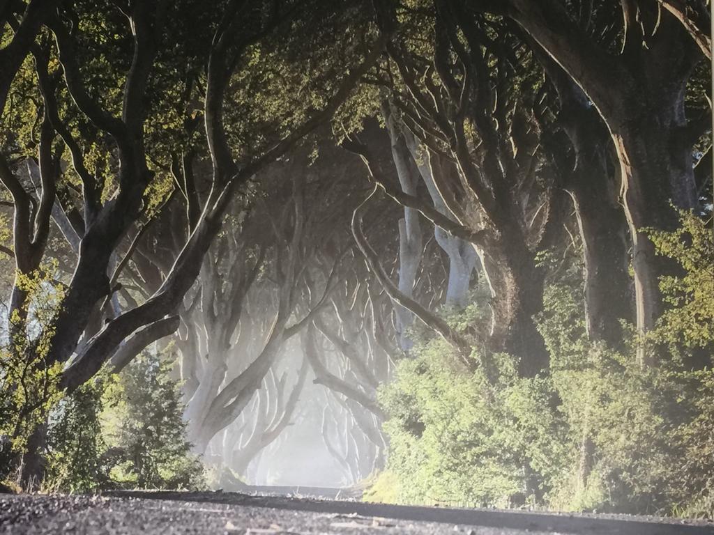 Dark Hedges Cottage 밸리캐슬 외부 사진