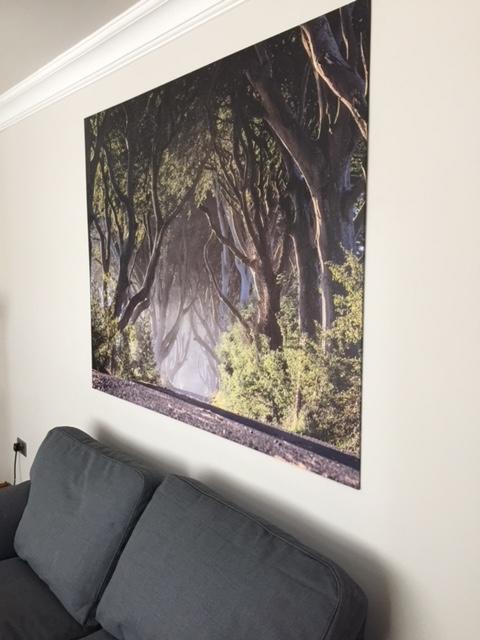 Dark Hedges Cottage 밸리캐슬 외부 사진